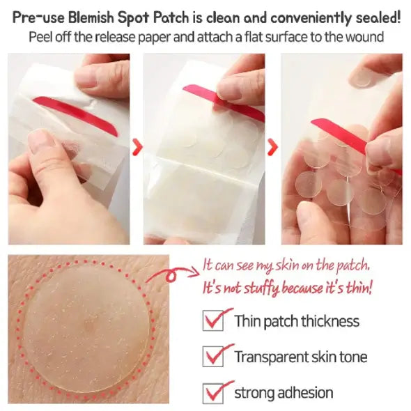 ELIZAVECCA Witch Piggy Hell Pore Blemish Spot Patch 44 ea