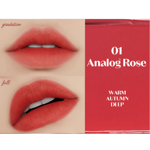 ETUDE HOUSE Fixing Tint #01 Analog Rose 4g *EXPIRY DATE*