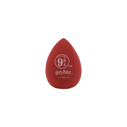 Harry Potter | Hogwarts™ Express Sponge Set