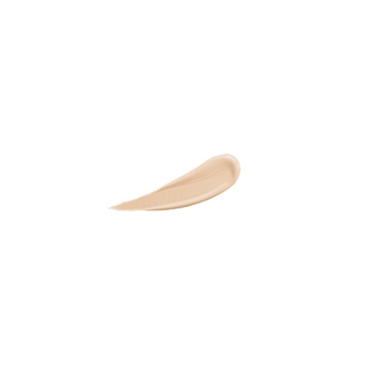 THE SAEM Cover Perfection Tip Concealer 6.5g